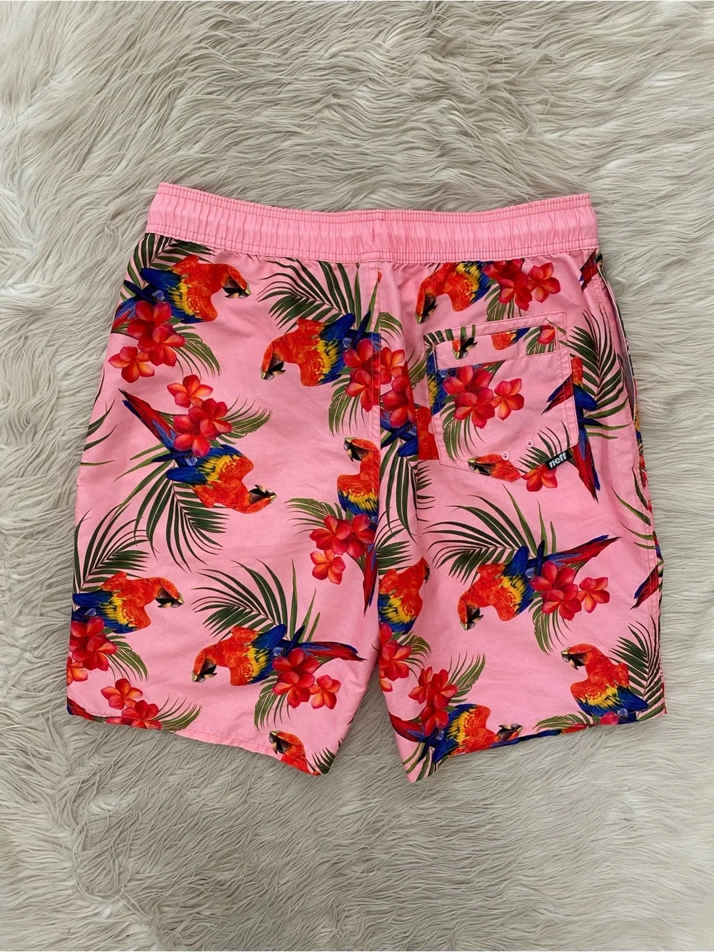 Neff brodie bird